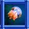Flappy Jellyfish ios icon