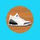 Don't Get Jordans Wet and Don't Step Water App icon