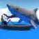 Shark Simulator Pro ios icon