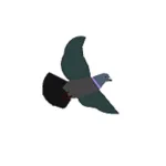 Pigeon Shoo App Icon