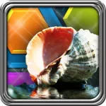 HexLogic - Seashells App Icon