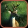Deer Hunter Pro ios icon