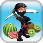 Fruit Samurai Warrior FREE App icon