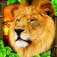 Safari Simulator: Lion iOS icon