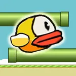 Rolly Bird App icon