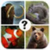 Guess the Animal Quiz  Free and Funny Word Puzzle Trivia Pics Science Spirit Zoo Game for Kids
