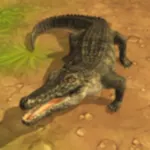Crocodile Attack 3D ios icon