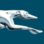 Greyhound (US) App Icon