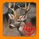 White Tail Deer Hunt App Icon
