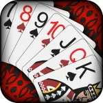 Card Game: Solitaire ! App icon