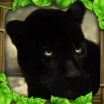 Panther Simulator App Icon