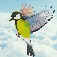 Bird Fly High 3D Pro App Icon
