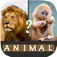 Aaa Animal Quiz  Guess Pictures of Famous Animals from Amazon WildAfrican SafariSavannah and Sea