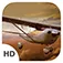Flight Simulator (Cessna Edition) App icon