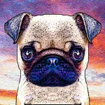 Puppystry App icon