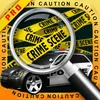 Crime Case Mystery ios icon