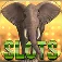Elephant Slots ios icon