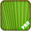 Game Pro App Icon