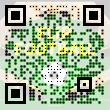 Flip Football Pro QR-code Download