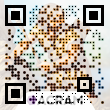 Stone Age: Digital Edition QR-code Download