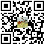 Bird Dog Chase Simulator QR-code Download