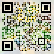 Jr's Gem Run QR-code Download