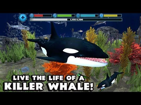 Video guide by : Orca Simulator  #orcasimulator
