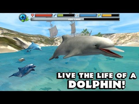 Video guide by : Dolphin Simulator  #dolphinsimulator
