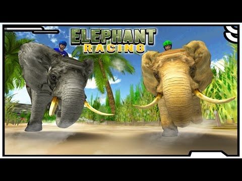 Video guide by : Elephant Racing  #elephantracing
