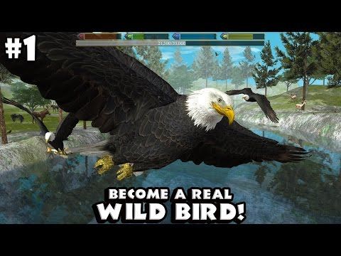 Video guide by : Ultimate Bird Simulator  #ultimatebirdsimulator