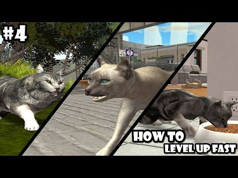 Video guide by PhoneInk: Cat Simulator Level 55 #catsimulator