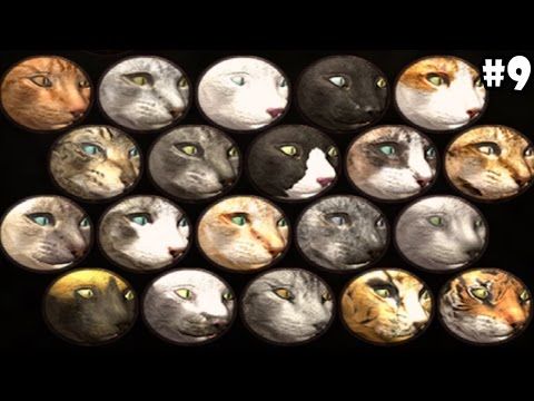 Video guide by PhoneInk: Cat Simulator Level 9 #catsimulator
