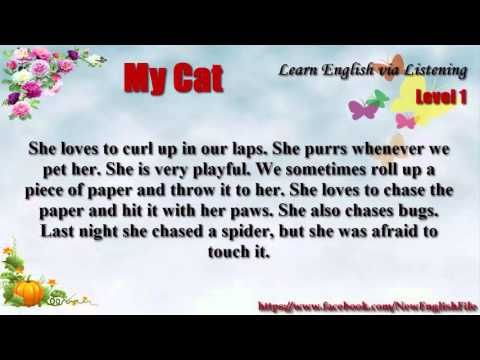 Video guide by English Listening: My Cat Level 1 #mycat