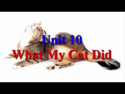 Video guide by English Listening: My Cat Level 2 #mycat