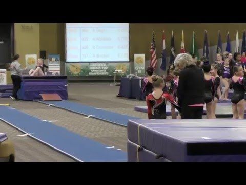 Video guide by Two Gymnasts: Vault! Level 3 #vault