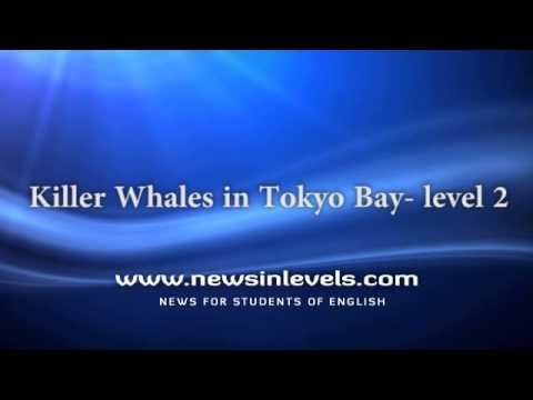 Video guide by NewsinLevels: Killer Whales Level 2 #killerwhales