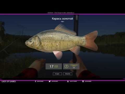 Video guide by Lady of Games: Russian Fishing Level 2 #russianfishing