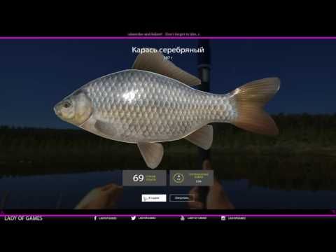 Video guide by Lady of Games: Russian Fishing Level 3 #russianfishing