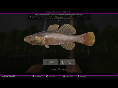 Video guide by Lady of Games: Russian Fishing Level 1 #russianfishing