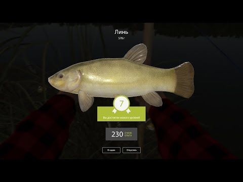 Video guide by Lady of Games: Russian Fishing Level 6 #russianfishing