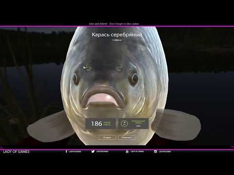 Video guide by Lady of Games: Russian Fishing Level 4 #russianfishing