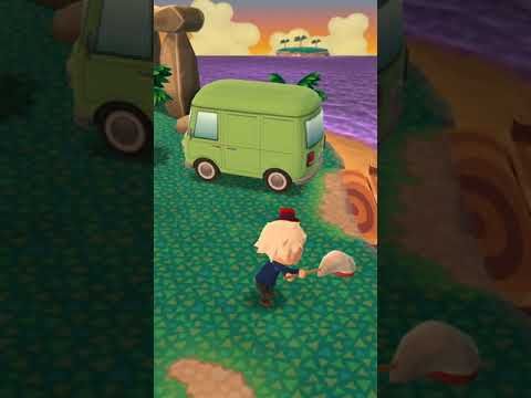 Video guide by FudgyDRS: Animal Crossing: Pocket Camp Level 41 #animalcrossingpocket
