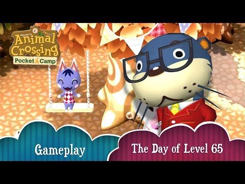 Video guide by my Animal Crossing: Animal Crossing: Pocket Camp Level 65 #animalcrossingpocket
