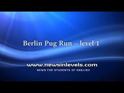 Video guide by NewsinLevels: Pug Run Level 1 #pugrun