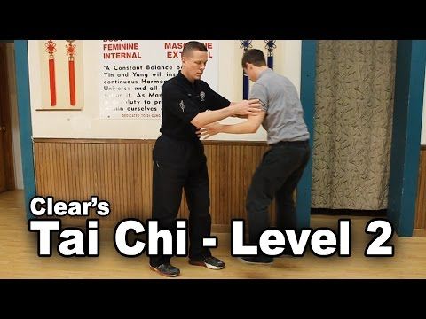 Video guide by Clear's Internal Combat Arts: Smart Way Level 2 #smartway