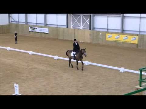 Video guide by Jane Currie: Show Jumping Level 2 #showjumping