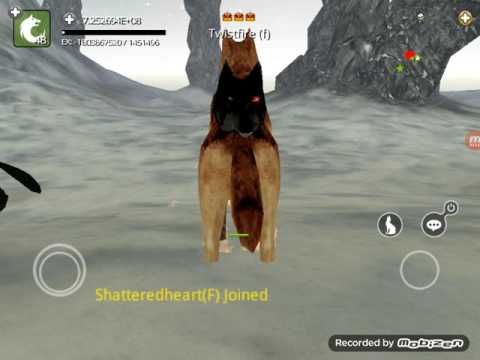 Video guide by Satisfied Donut: Wolf Online Level 48 #wolfonline