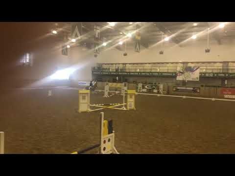 Video guide by Stella Jelly: Show Jumping Level 3 #showjumping
