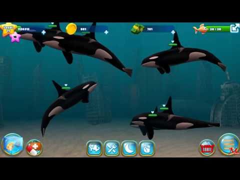 Video guide by Monster Guide: Killer Whales Level 75 #killerwhales