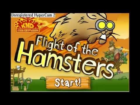 Video guide by dinokid16: Flight of the Hamsters Level 1 #flightofthe